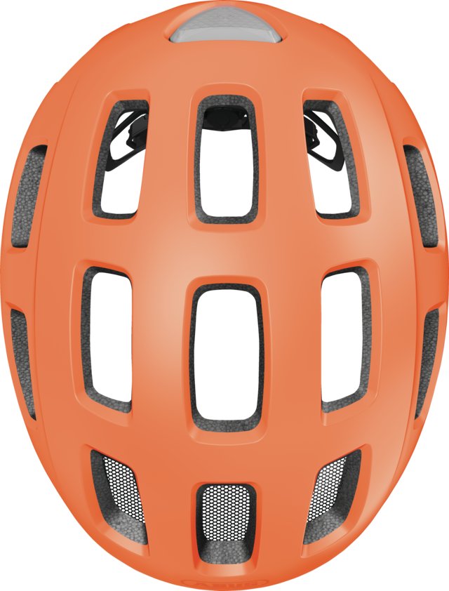 10049417-01