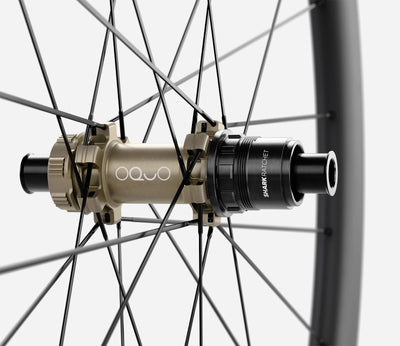 O1640037