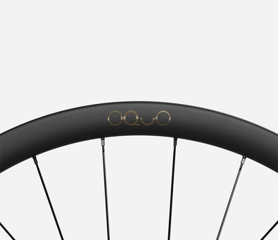 O1610037