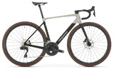 Kola Megamo Raise 15 2026 Jade Ud