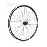 Rueda Trasera Gurpil Carretera New DPX Shimano 8/10v Negro