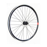 Rueda Trasera Gurpil Carretera New DPX Campagnolo Negro